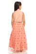 Peach Cotton And Viscose Lehenga Set image number 4