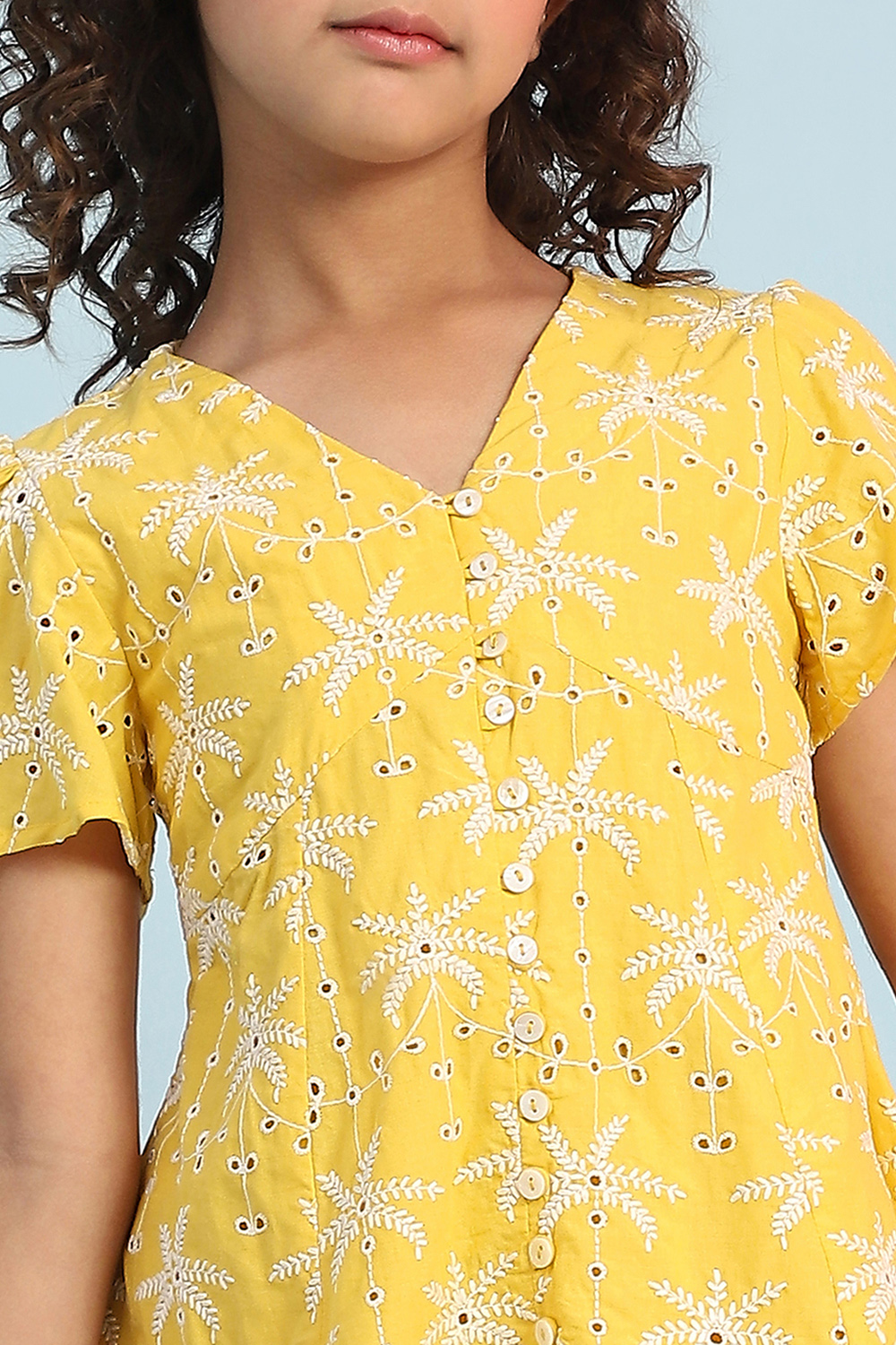 Yellow Pure Cotton Schiffli A-Line Dress image number 1